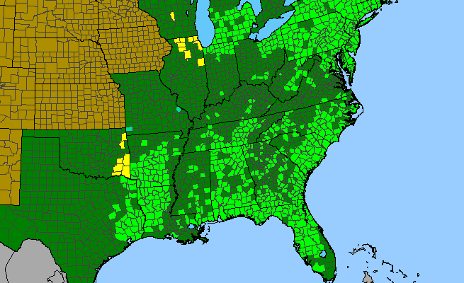 The range of Vaccinium corymbosum